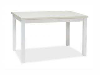 Jídelní stůl - ADAM, 100x60, bílá