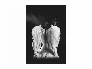 Obraz - Angel 80x120
