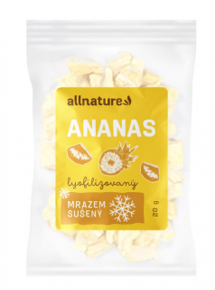 Ananas sušený mrazem kousky 20g