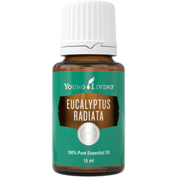 Eukalyptový esenciální olej Eucalyptus radiata 100% 15ml YL