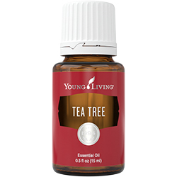 Kajeput esenciální olej Tea tree 100% 15ml YL