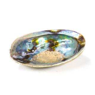 Mani Bhadra vykuřovací mušle Abalone