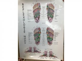 Mapa reflexologie nohy