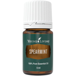 Máta klasnatá esenciální olej Spearmint 100% 5ml