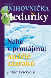 Nebe v pronájmu: andělé zázraků