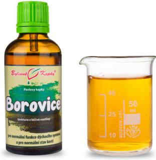 Pavlovy bylinné kapky Borovice 50 ml