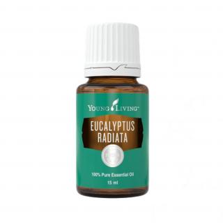 Young Living Eucalyptus Radiata esenciální olej 15ml