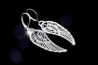 Náušnice Andělská křídla - Chirurgická ocel  + Doprava zdarma + Dárkové balení zdarma