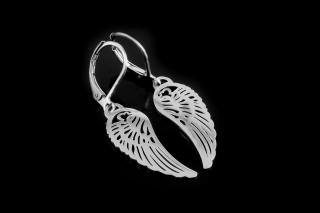 Náušnice Andělská křídla menší varianta - Chirurgická ocel  + Doprava zdarma + Dárkové balení zdarma