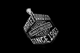 Pánský přívěsek s motivem Harley Davidson - Chirurgická ocel  + Řetízek zdarma + Doprava zdarma + Dárkové balení zdarma