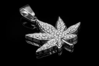 Přívěsek Cannabis - Chirurgická ocel se zirkony  + Řetízek zdarma + Doprava zdarma + Dárkové balení zdarma
