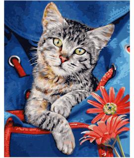 Kočka v batohu (24 x 30 cm) (Malování podle čísel - Schipper)