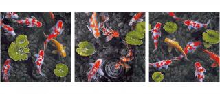 Koi - drahokamy v rybníce (40 x 120 cm) Schipper (Malování podle čísel - Schipper)