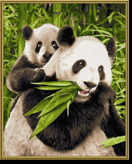 Medvídci Panda (24 x 30 cm) (Malování podle čísel - Schipper)