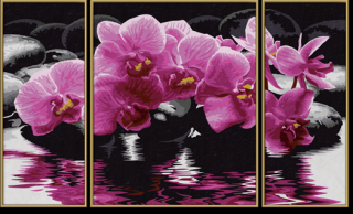 Orchideje (50 x 80 cm) (Malování podle čísel - Schipper)