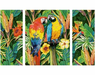 Papoušci v deštném pralese (50 x 80 cm) (Malování podle čísel - Schipper)
