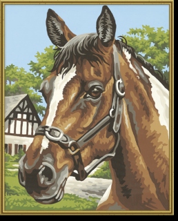 Portrét koně (24 x 30 cm) (Malování podle čísel - Schipper)