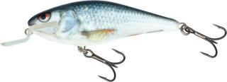 Salmo - Executor Shallow Runner Barva: Real Dace, Velikost: 7 cm
