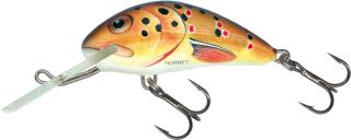 Salmo -  Hornet  4cm Floating Barva: Trout