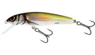 Salmo -  Minnow  5cm Floating Barva: Holo Bleak