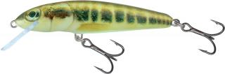 Salmo - Minnow 7cm Floating Barva: Minnow