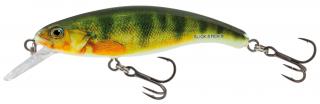 Salmo -  Slick stick 6 cm Floating Barva: Young Pearch