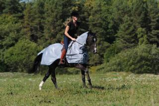 Bucas - Buzz-Off Riding (Síťovaná jezdecká deka) (647)