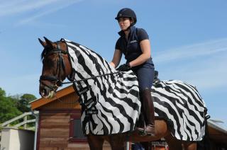 Bucas -  Buzz-Off Riding Zebra (Síťovaná jezdecká deka) (560)