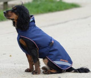Bucas - Therapy Dog - Deka pro psy (283)