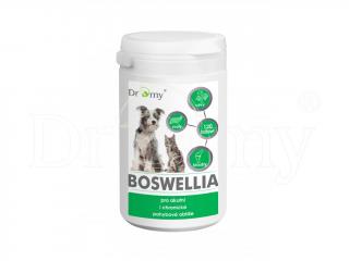 Dromy - Boswellia 120 tbl. (Pro akutní i chronické pohybové obtíže.)