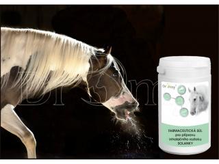 Dromy - Inhalační sůl pro koně 1 kg (Inhalační farmaceutická sůl pro výrobu solného roztoku Solanky pro inhalační terapii.)