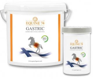 Equine74 - Speciální přírodní směs proti žaludečním vředům Gastric, 2kg granulát