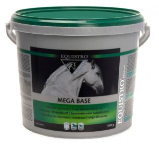 Equistro - Mega Base 3kg - 100 dávek