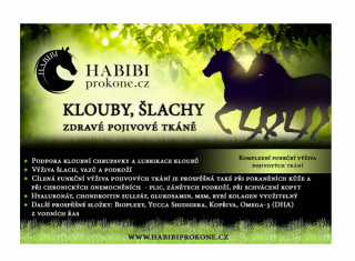 Habibi - KLOUBY, ŠLACHY, VAZY, ZDRAVÉ POJIVOVÉ TKÁNĚ 0,9 kg