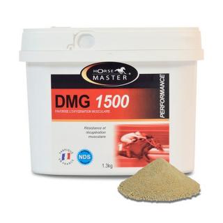 Horse Master - DMG 1500 1,3 kg (Krmný doplněk na odbourávání kyseliny mléčné ze svalů. Vhodný při vysoké zátěži)