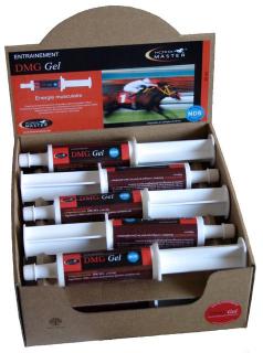 Horse Master - DMG GEL pasta 60 ml (Perorální gel určený k prevenci bolesti svalů)