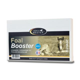 Horse Master - FOAL BOOSTER (pasta 4 x 15 ml) 60 ml (Energie pro novorozená hříbata)