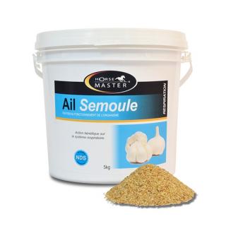 Horse Master - GARLIC POWDER 5 kg (Příznivě ovlivňuje trávení a metabolismus koní)