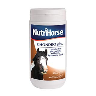 Nutri Horse - Chondro pulvis 1000g (Pro hříbata, mladé koně, koně v zátěži a starší koně)