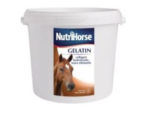 Nutri Horse - Gelatin 1 kg (Pro zdravý růst a vývin kloubů, šlach a chrupavek)