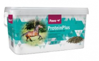 Pavo - ProteinPlus, 7kg