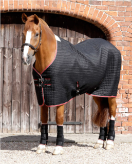 PE - Odpocovací deka Dry-Tech Horse Cooler (Premier Equine 2222-56N)