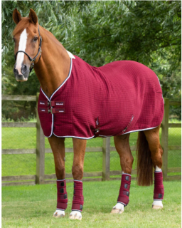 PE - Odpocovací deka PremTex (Premier Equine 209450BRG)