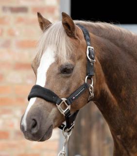 Premier Equine - Pony ohlávka s fleece polstrováním (6009XSBLK)