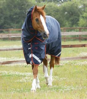 Premier Equine - Výběhová deka s odnímatelným krkem Titan (450g) (200150N)