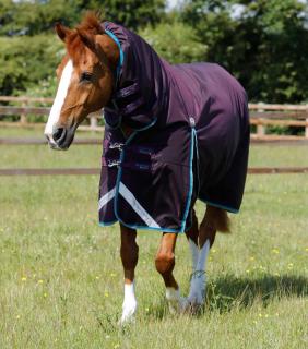 Premier Equine - Výběhová deka s pevným krkem Buster Storm 100g Combo (217150PRP)