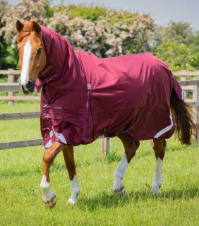Premier Equine - Výběhová deka s pevným krkem Buster Storm Combo (90g) (215750N)