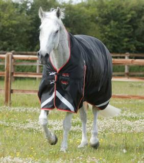 Premier Equine - Výběhová deka se zvýšeným krkem Buster Hardy (100g) (220550B)