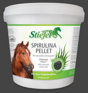 Stiefel - Spirulina pro nasvalení a svalový metabolismus (Kyblík 1,5 kg)