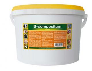 TROUW NUTRITION - B-Compositum- Pro podporu metabolismu 10 kg (Rychlá podpora energetického metabolismu)